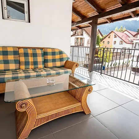 Artemis Poiana Brasov