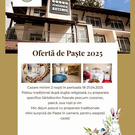 Artemis Poiana Brasov